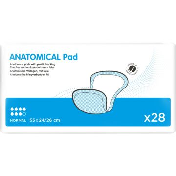 iD Rectangular Anatomical Pad | Pack of 28