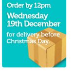 Xmas Delivery